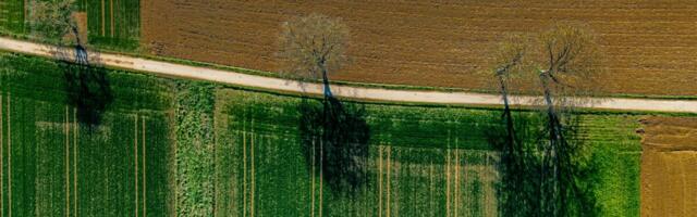 PRIA kokkuvõte: kus läks hästi ja kus tuli toetusi vähendada