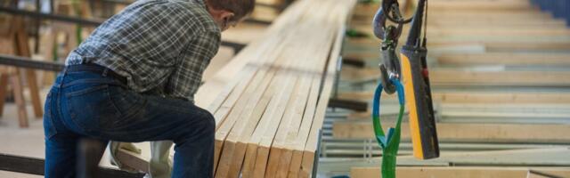 Pankrotis puidutööstur peab piraka maksuvõla omast taskust kinni maksma