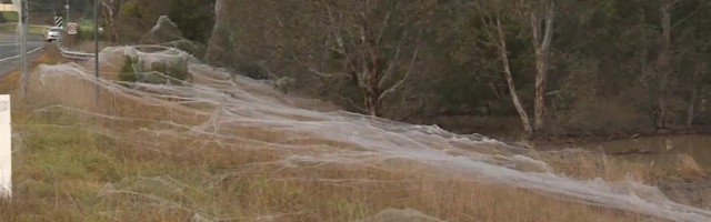 Reporter: Muinasujutuline «vaip» peidab endas paljude õudusunenägu