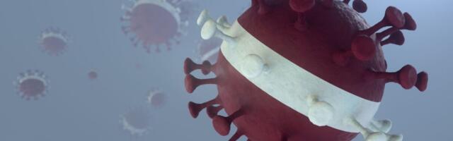 Läti tervishoiuminister: Oleme järgmiseks laineks valmis