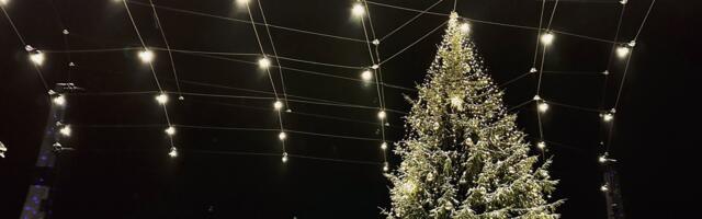 Esimsesel advendil süüdati jõulutuled Tõrva vallas