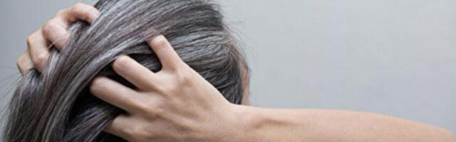 Miks juuksed halliks lähevad ja näpunäiteid selle ümberpööramiseks