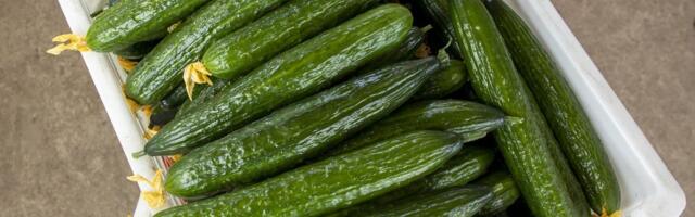 TURUKOMMENTAAR | Aastavõrdluses on pea kõik toiduained kallimaks läinud