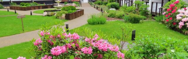 UUS VÄLJAKUTSE! Jan Trei määrati Rannapere Pansionaadi nõukokku