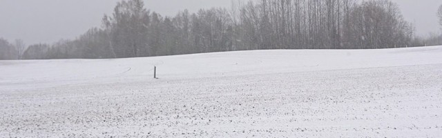 Lõuna-Eestit tabas lumesadu
