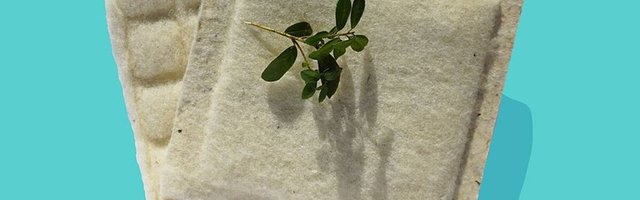 Eesti parim roheidufirma toodab lambavillast pakkematerjali