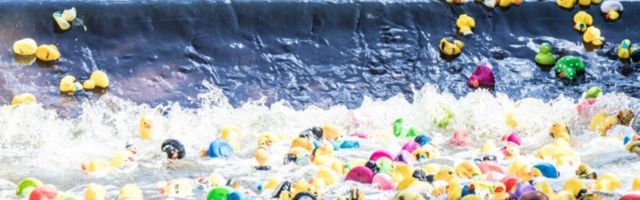 Toeta vähihaigeid lapsi ja osale virtuaalsel Pardirallil