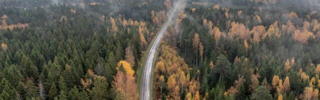 Looduskaitse all olevate objektide arv kasvas möödunud aastal 51 ala võrra