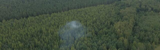 Infotunnis käsitleti kavandatavaid metsaseaduse muudatusi