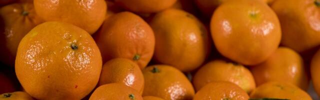 LUGEJA KÜSIB | Kas mandariinide katsumisest võib haigestuda kõhugrippi?