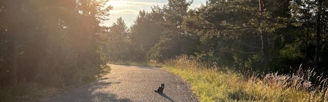 AHTO ILMAJUTUD | Ilm püsib soe, aga vihmast ei pääse