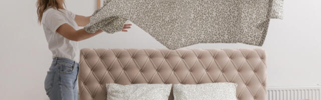 Kui kodus ajab pidevalt aevastama, võib põhjus peituda imepisikestes tolmuosakestes