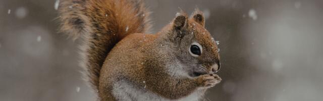 Päevahoroskoop : pühapäev, 15. veebruar