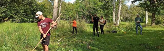 Hoitud keskkond on oluline investeering