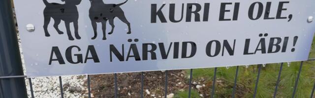 GALERII: viimsilastel on hea huumorimeel