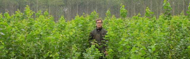 Maaülikooli professori arvamusartikkel viitas AI välja mõeldud võltsallikatele