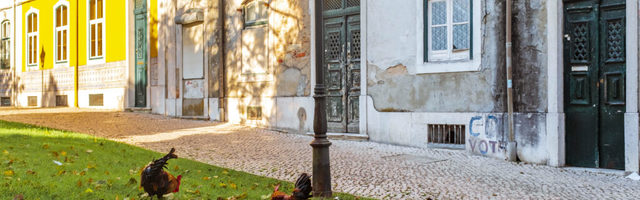 Jaan Kaplinski: esimene tõsine hoiatus