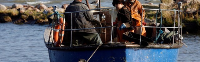 Kuidas on muutunud Eesti tööturg 30 aasta jooksul?