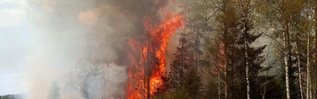 Nursipalu harjutusväljakul süttis mets ja taimestik