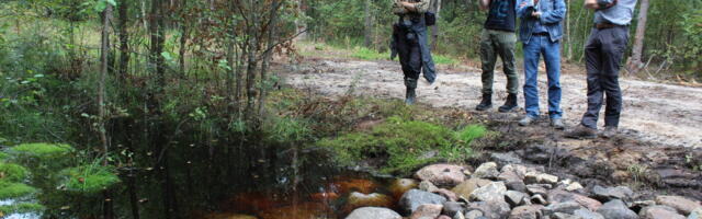 Leidissoo taastamiseks suletakse sada kilomeetrit kraave