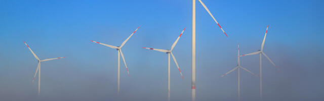 Majanduskriis Saksamaal: ökosotsialismi läbikukkumine