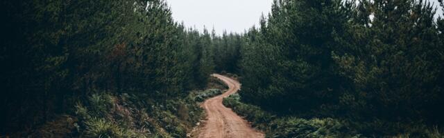 Laiksaare-Massiaru-Teaste saab riigi toel tolmuvaba katte