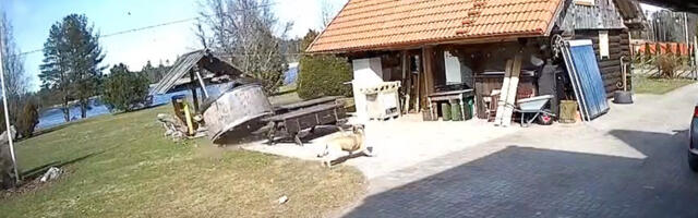 VIDEO: häppening õuel