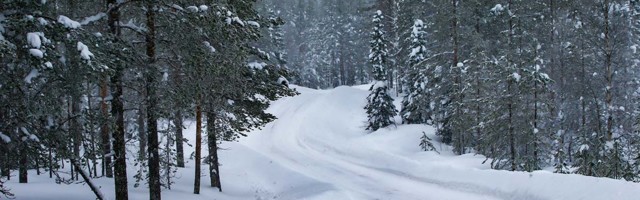 Täna algab Artic Rally Finland, autoralli maailmameistrivõistluste teine etapp, lisatud ajakava