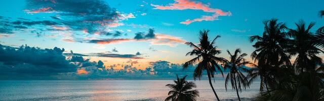 Põhikooli lõpetajad murravad pead, kuidas seda kõige õigemalt tähistada