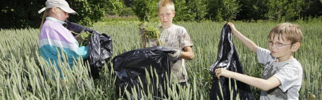 LUGEJA KÜSIB | Mis kellast hommikul võib alaealine tööle asuda?