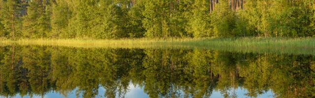 15. august : tänase päeva sõnumid (numeroloogia)