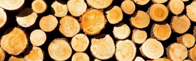 Euroopa metsandusettevõtted on tuleviku suhtes kahtlevad