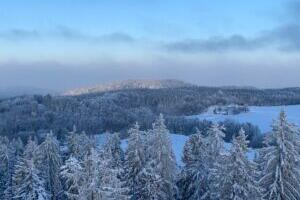 Metsa tühistamissõnade tühistamine