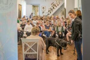 Festimärkmed ükssarvikutele