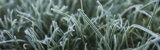 Teateid ilmarindelt: Eestis on oodata öökülma, Soomes aga sajab taas lund