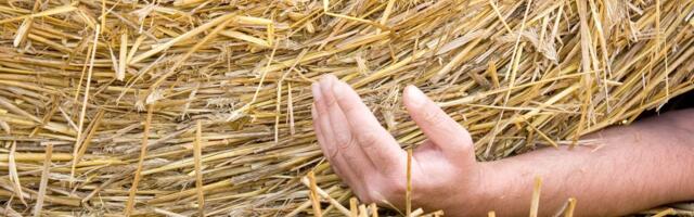 Tööõnnetusi juhtub palju: põllumees ei oska kõiki surmaohte ettegi kujutada