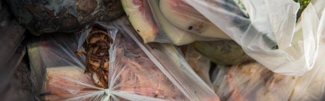 Ettepanek: kogugem naabruskonna biojäätmed kokku ja kasutagem neid linnaparkides