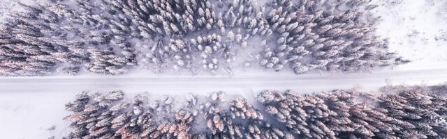 Transpordiamet piirab autorongide ja masinrongide liiklemist ohtlikel teelõikudel Setomaa vallas