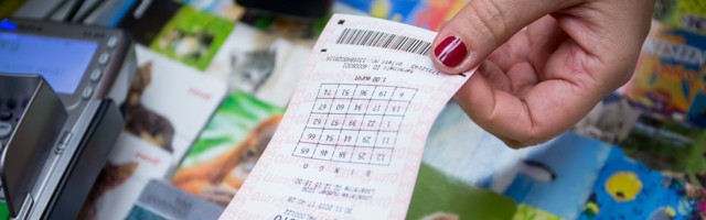 Bingo loto 590 000-eurone jackpot läks ettevõtjale
