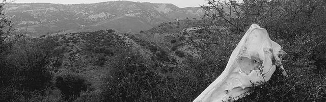 Michael Cook: abistatud enesetapu kõige süngem menetlus