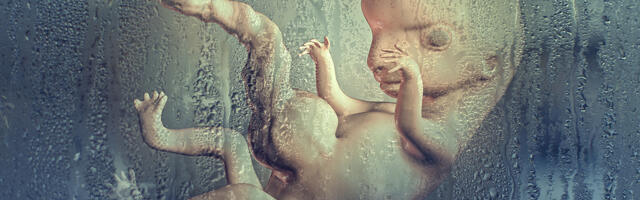 KIBE TÕDE ⟩ Mullu tehti Eestit valitsuse rahalisel toel tahtlikult 3307 aborti, võimalus elada võeti igalt viiendalt lapselt