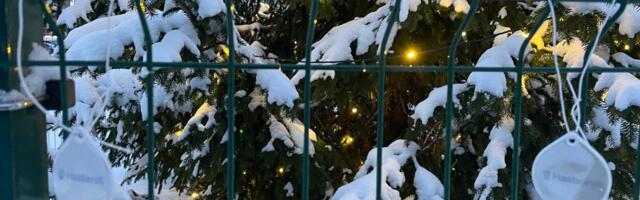 TASUTA HELKURID I Helkur teeb sind pimedal ajal nähtavaks