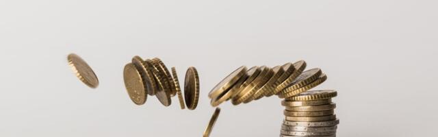 Mait Palts: Eestis tuleb töökohtade arvu vähendada. Eelarve täitmine ei pea tähendama alati uusi makse