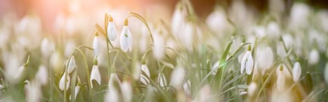 UURING: 7% eestlastest ei soovi kevade tulekut, sest kardavad, et see toob veel mõne hullema koroonatüve