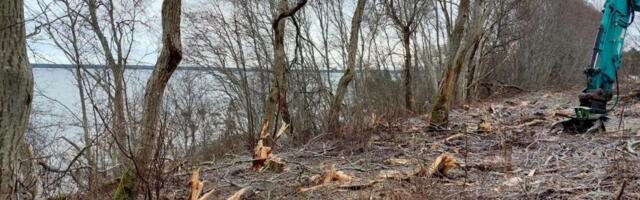 Pakri maastikukaitsealale jäävatel RMK maadel teostati ebaseaduslik raie