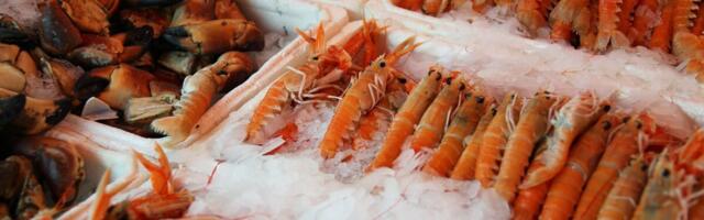 Valminud on lisaainete 2023. aasta aruanne