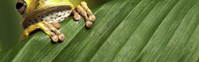 Uuring: Maa keskmine temperatuur on peaaegu alati olnud tänasest märksa soojem