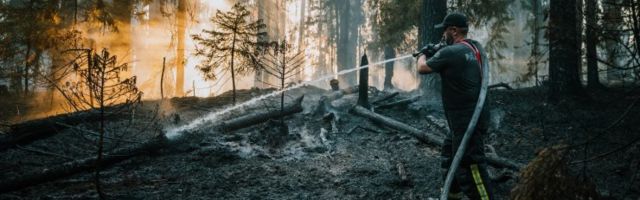 FOTOREPORTAAŽ | Anija maastikupõleng likvideeriti hilisõhtul, tuletõrjujate sõnul jäi ulatuslikust metsatulekahjust vähe puudu