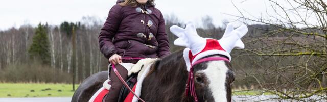 Hukkamisest päästetud hobune andis liikumispuudega naise elule mõtte