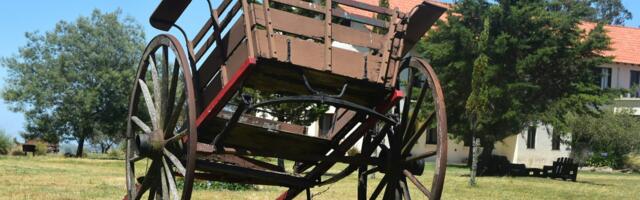 Erkki Ots: Ilus muinasjutt ämbrist, mis sai “big & beautiful”